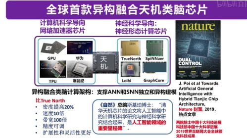 從類腦計(jì)算到機(jī)器學(xué)習(xí) 四大知名AI教授線上分享干貨，引領(lǐng)計(jì)算機(jī)軟硬件開發(fā)新趨勢(shì)